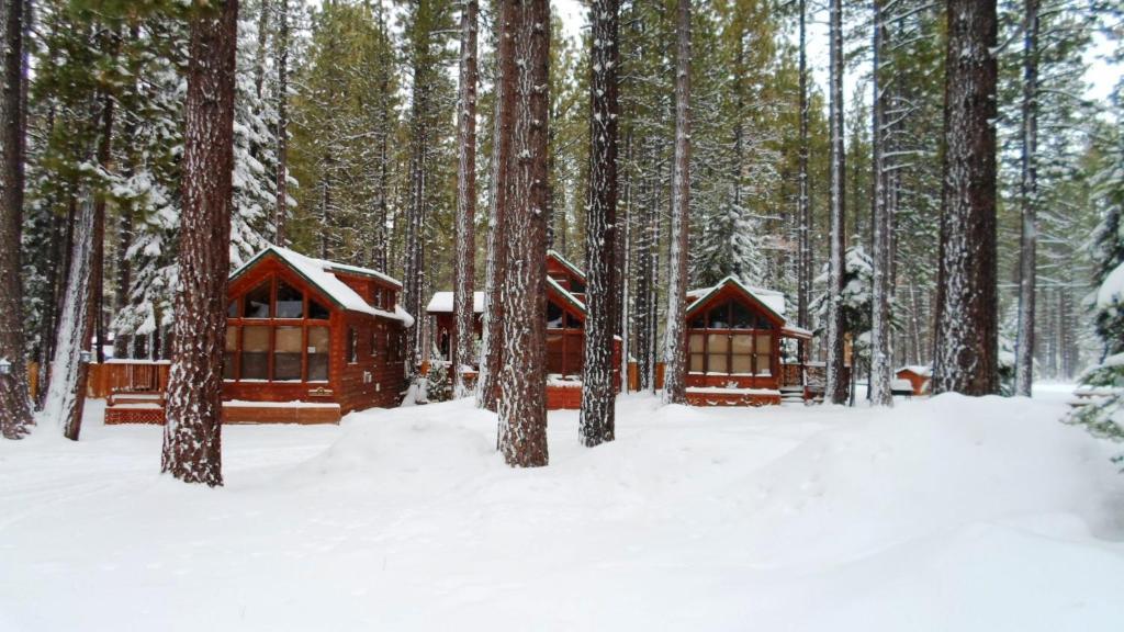 Cedar Pines Resort South Lake Tahoe Exterior photo